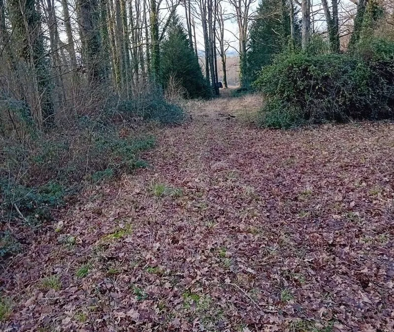 Photo 3