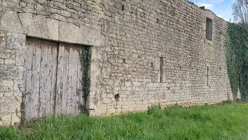 Photo 27