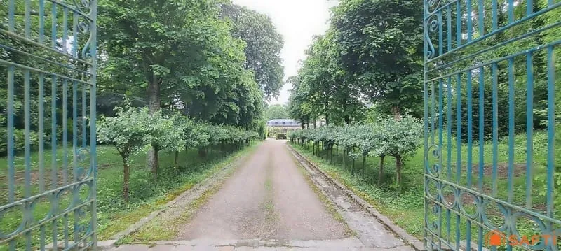 Photo 13