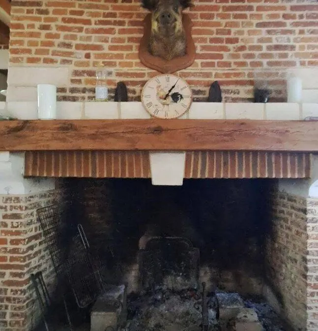 Photo 19
