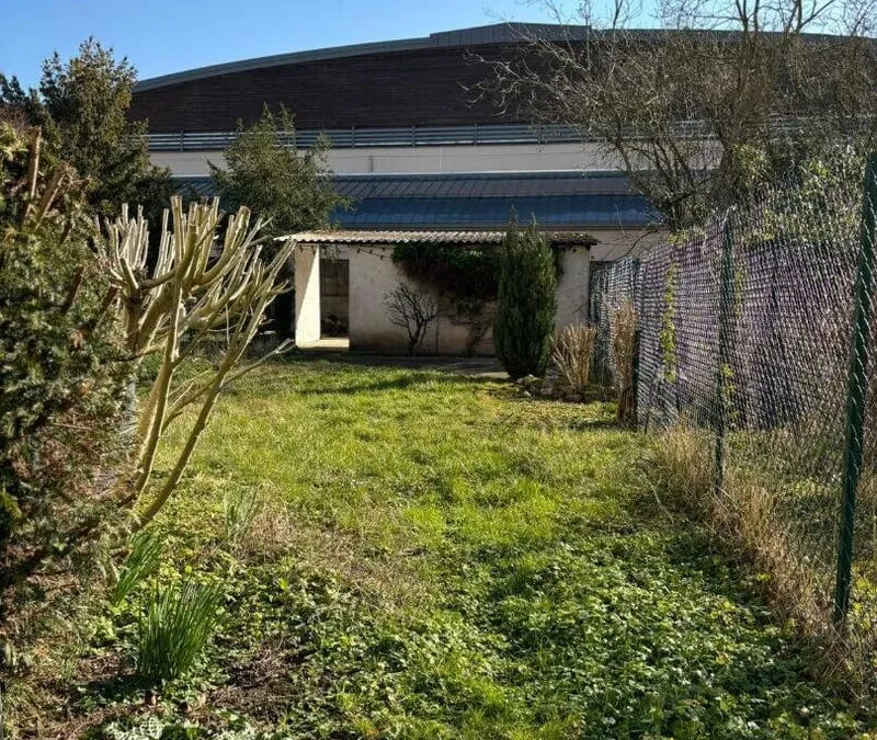 Photo 11