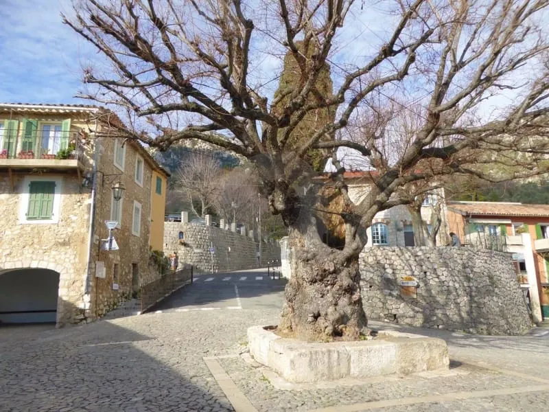Photo 2