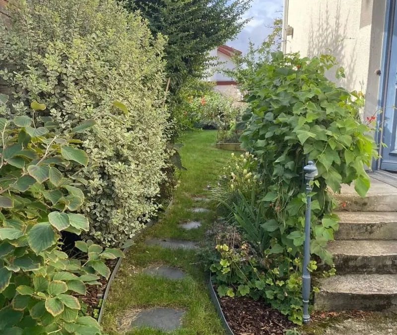 Photo 13