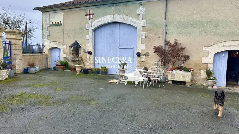 Photo 11