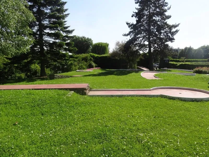 Photo 12