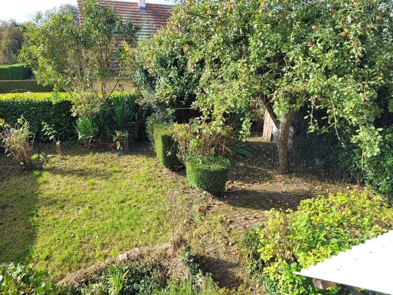 Photo 4