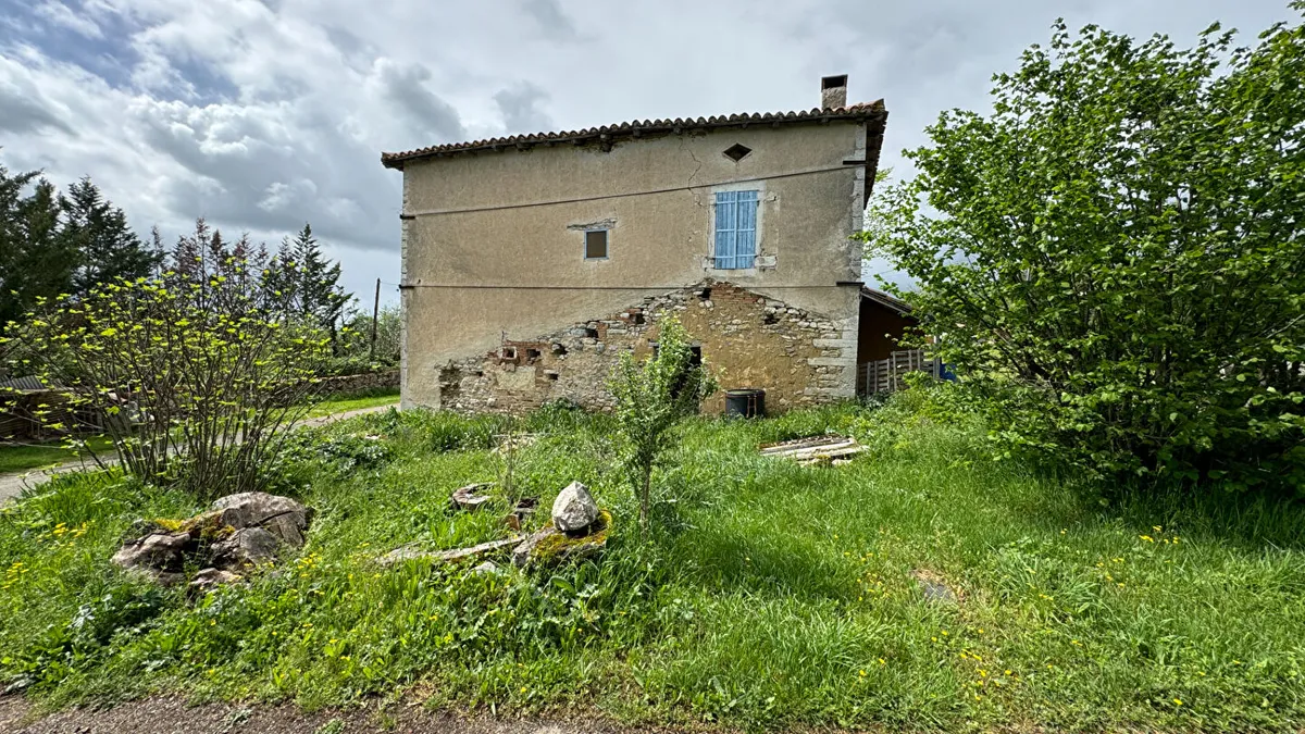 Photo 10
