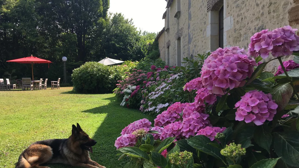 Photo 14