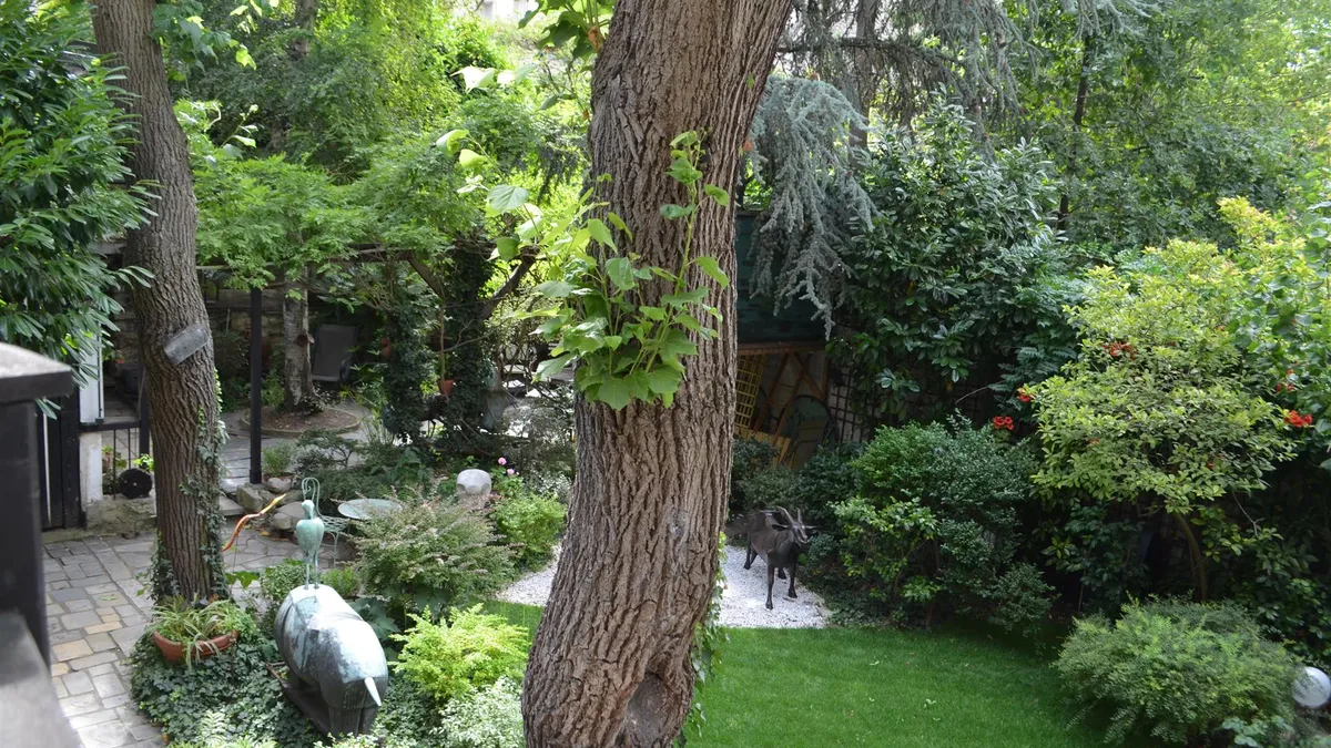 Photo 20