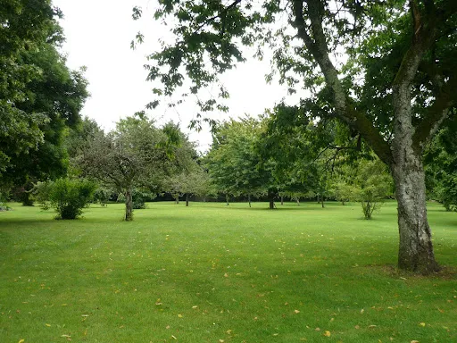 Photo 4