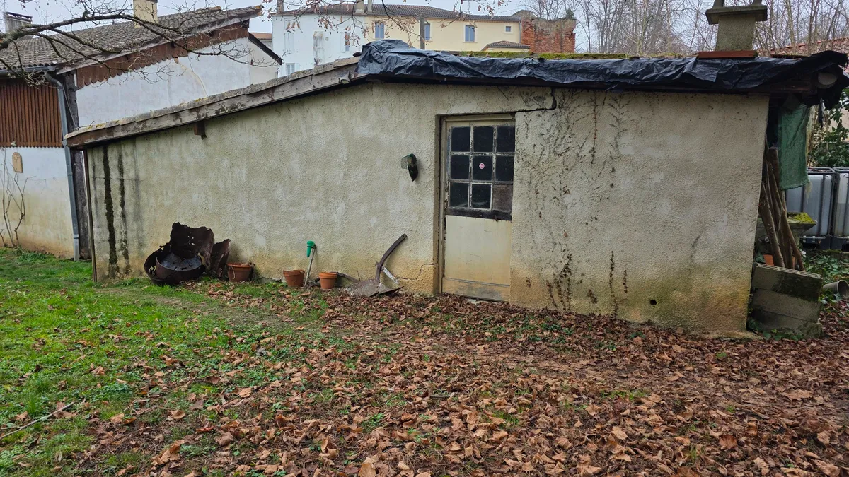 Photo 19