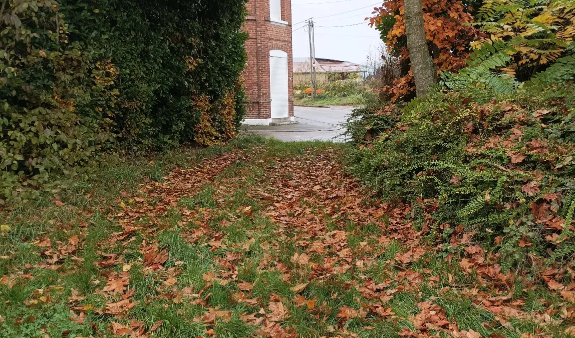 Photo 4