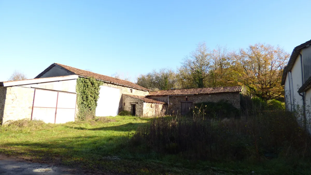 Photo 11