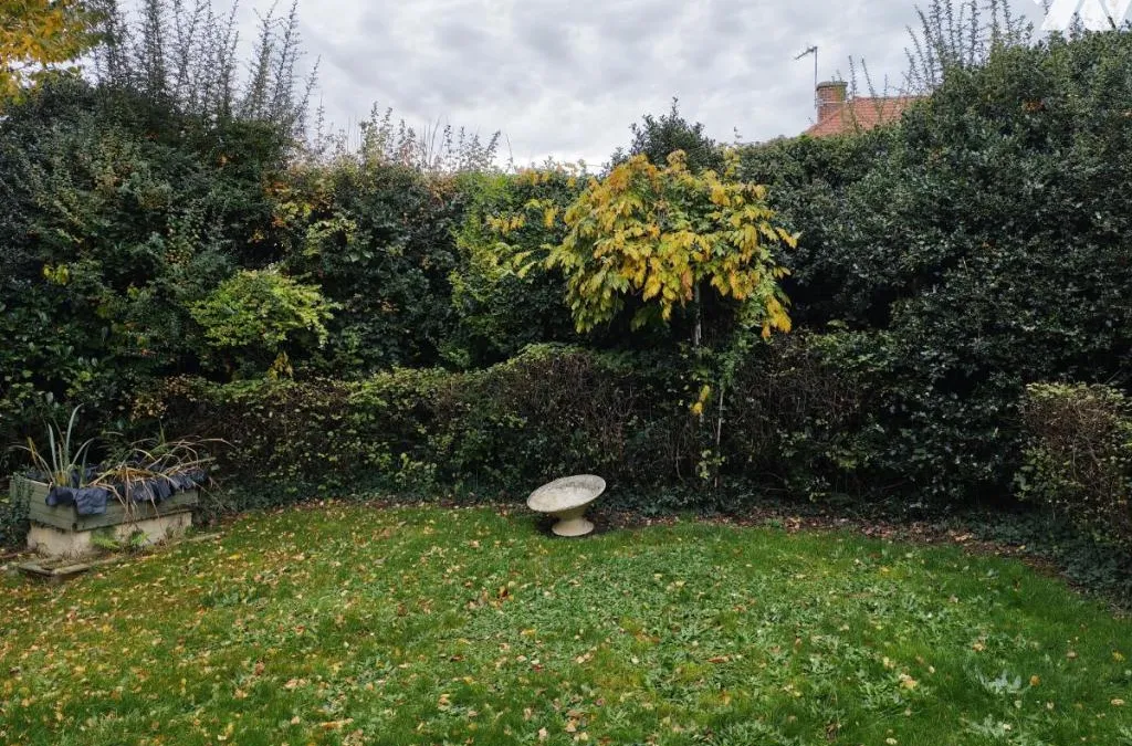 Photo 5