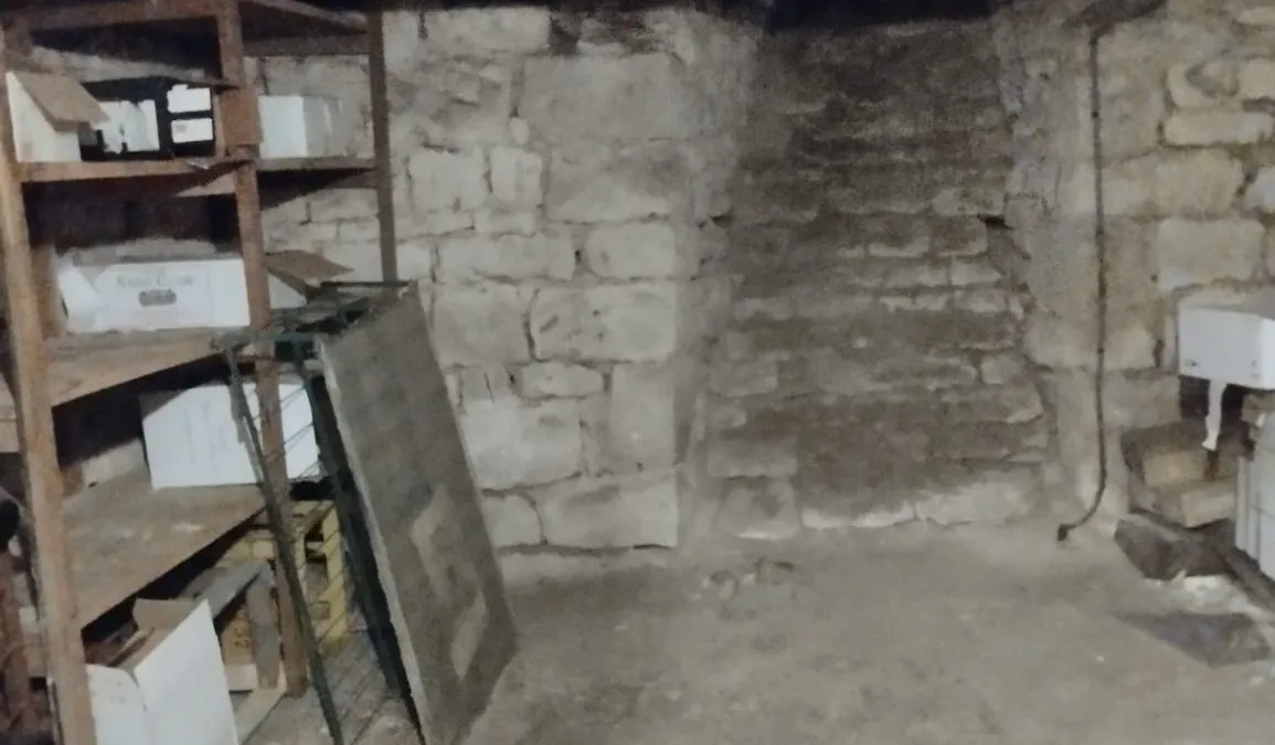 Photo 19