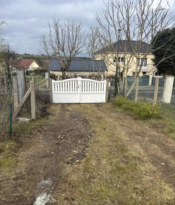 Photo 19