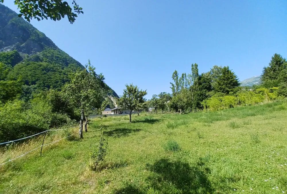 Photo 4