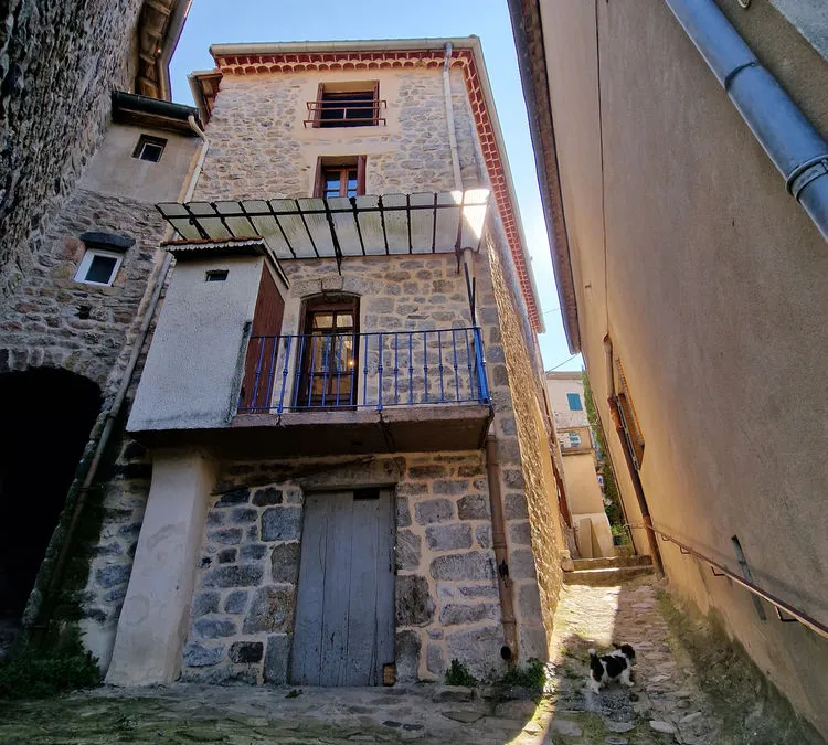 Photo 8