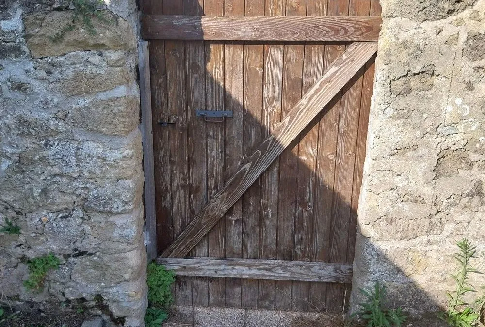 Photo 12