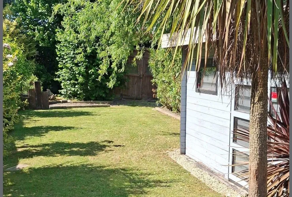 Photo 5