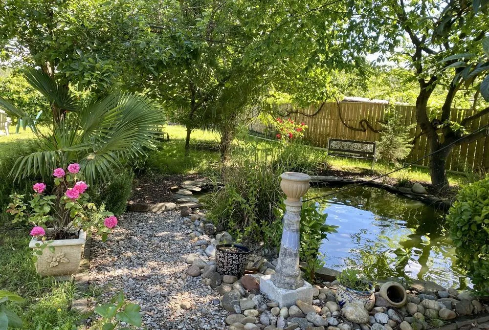Photo 16