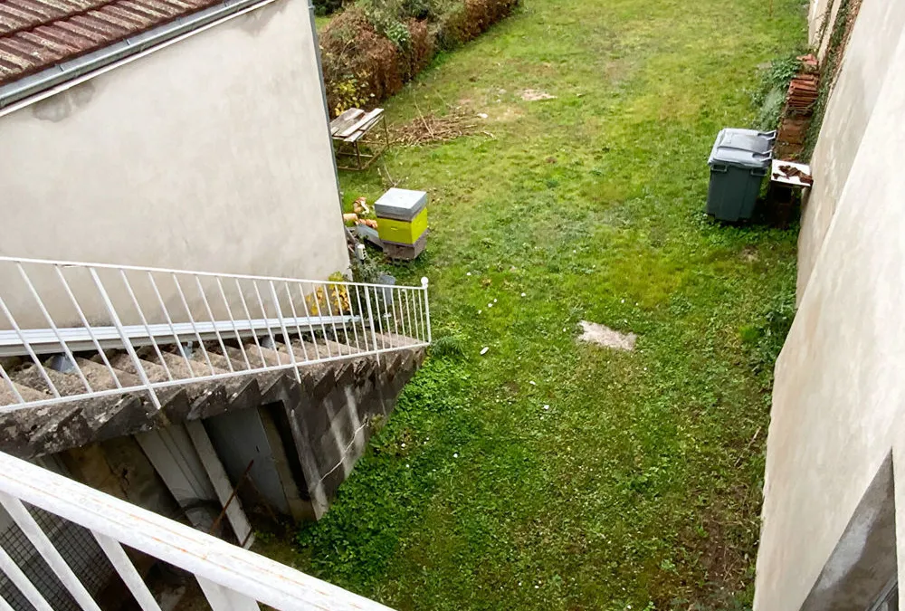 Photo 5