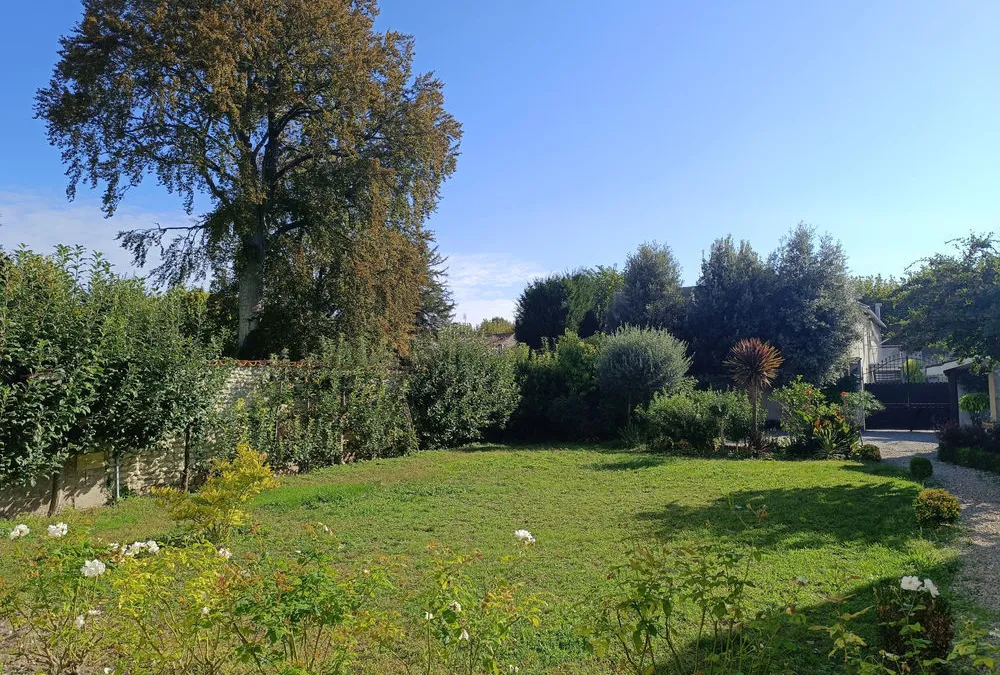 Photo 31