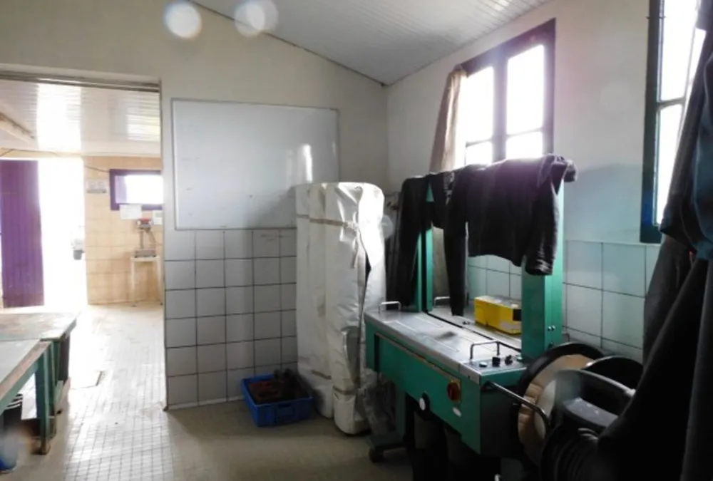 Photo 6