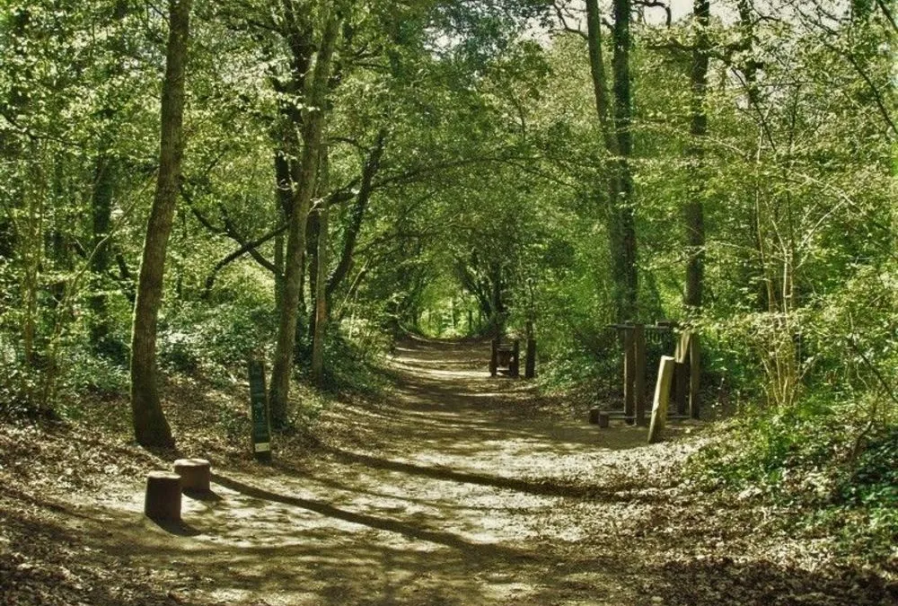 Photo 12