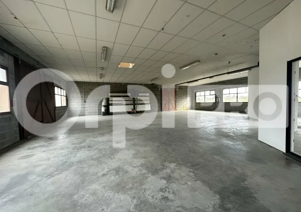 Photo 4