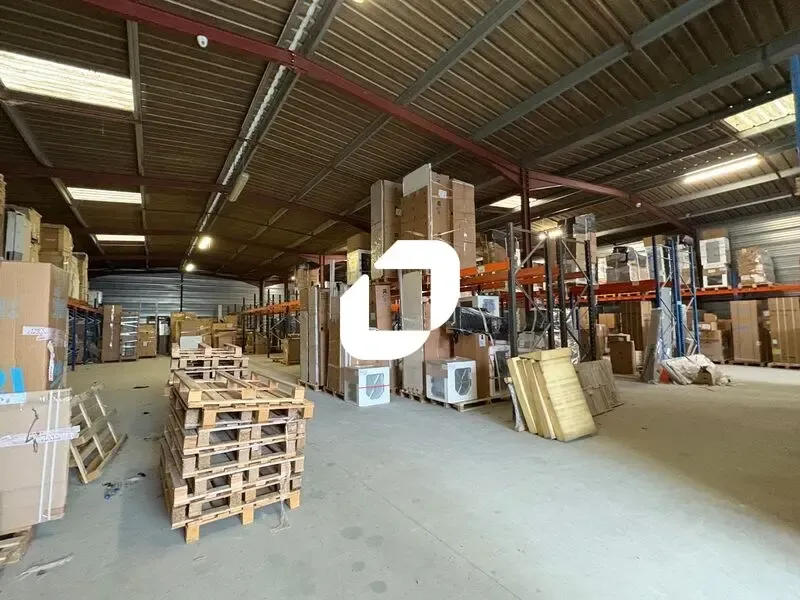 Photo 4