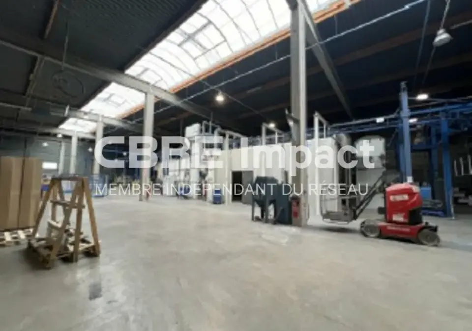Photo 4