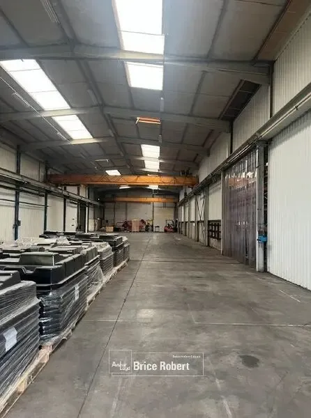 Photo 4