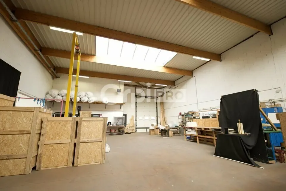 Photo 5