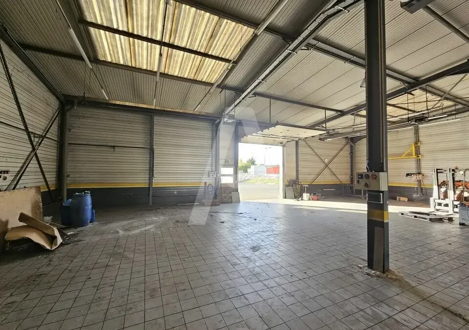 Photo 8