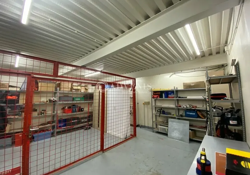 Photo 6
