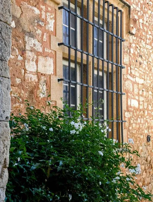 Photo 25