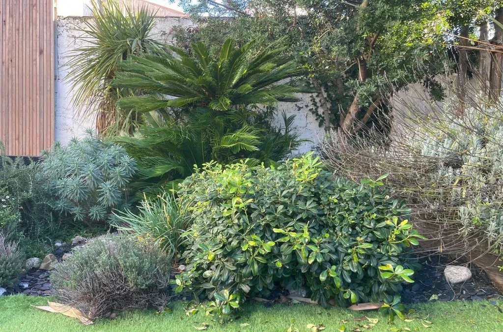 Photo 11