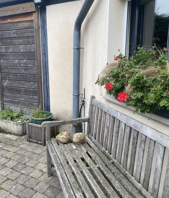 Photo 28