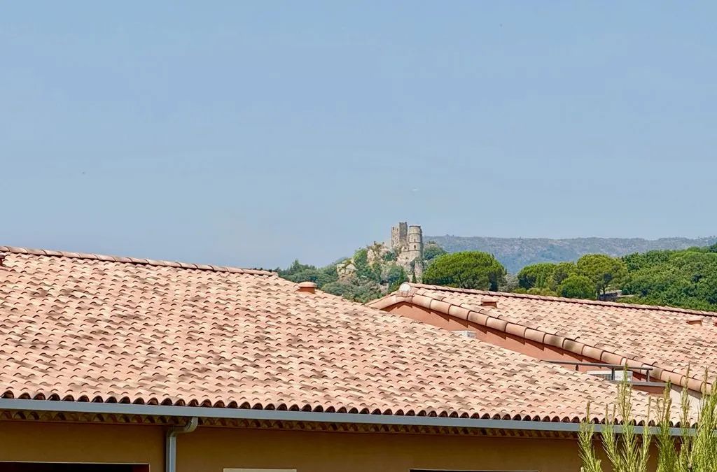 Photo 8