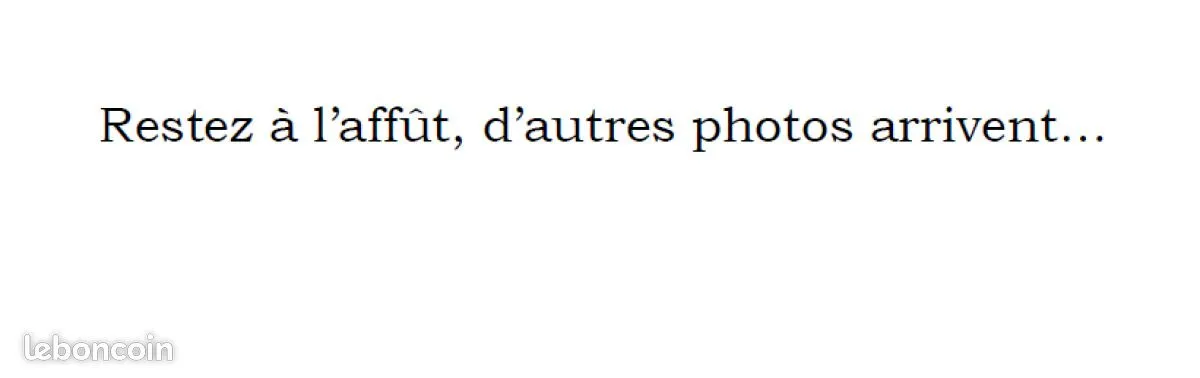 Photo 1