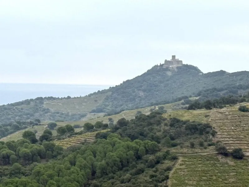 Photo 4