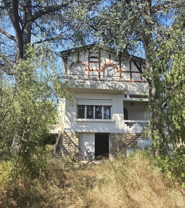 Photo 19