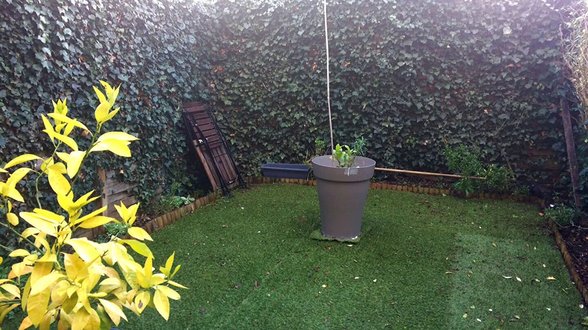 Photo 1