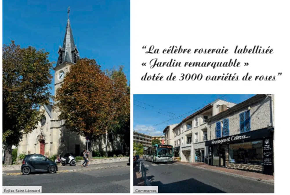Photo 1