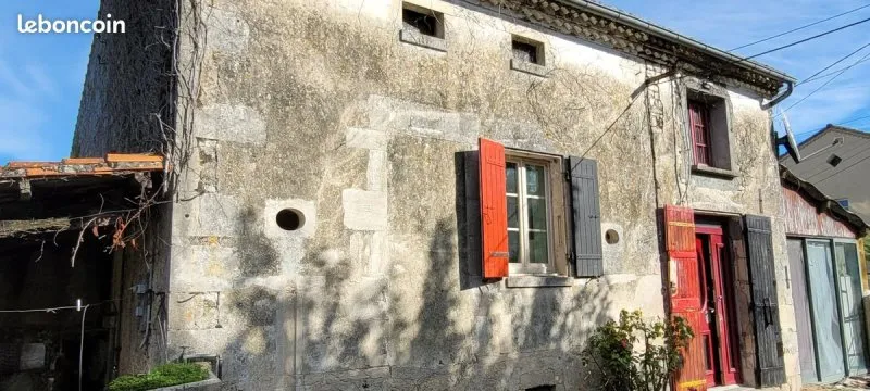 Photo 12