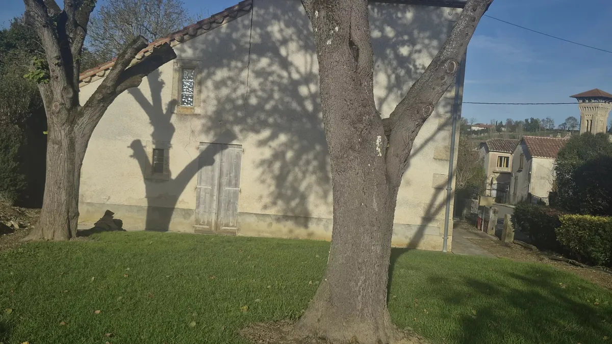 Photo 5