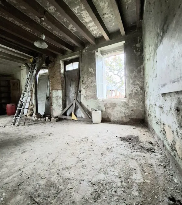 Photo 14