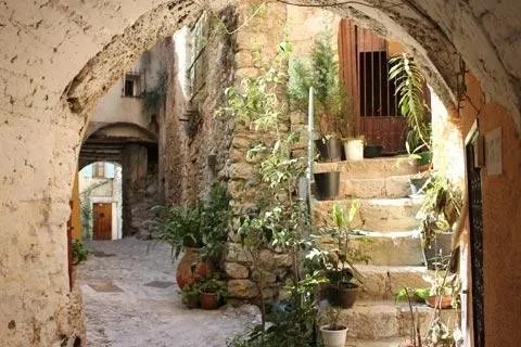 Photo 4