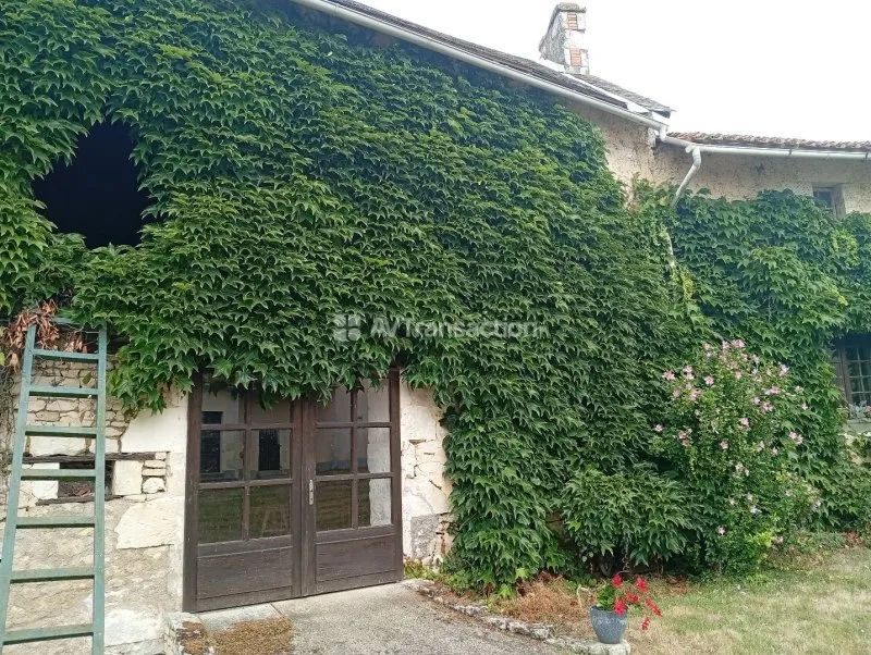 Photo 18